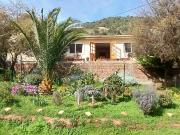 Oprotunidad! Amplia casa en Parcela, Curacavi Oprotunidad! Amplia casa en Parcela, Curacavi