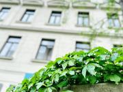 Optimal geschnittene 2 Zimmerwohnung mit perfekter...