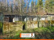 Oradour sur Glane Vente Terrain 87