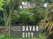 Orchard Haven: 5.7 Hectares of Fruitful Abundance in...