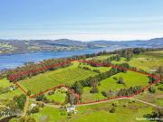 Orchard In The Hills