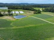Organic Berry Farm or ready for a different agricultural...