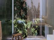 Origen La Saladita | Ixtapa, Zihuatanejo. Guerrero