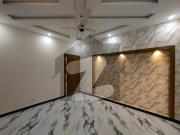 ORIGINAL PICTURES Brand NEW DESIGNER House Available For...