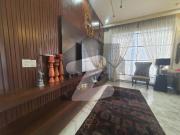 Orignal pictures 1 kanal luxury furnished house dha phase 6 Orignal pictures 1 kanal luxury furnished house dha phase 6