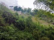 ORIPOTO Vendo Terreno 2000m2 MOGO