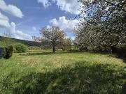 Ornans 25290 Achat / Vente terrain