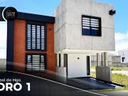 ORO 1, REAL DE HIDALGO