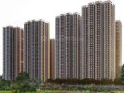 Osman Nagar 1 BHK Apartment For Sale Hyderabad