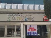 OSO # 127 DESP. 105 COL. DEL VALLE