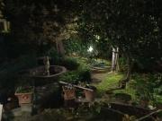 Ostia levante Cerco grande appartamento