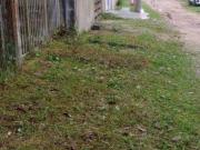 Ótima área em excelente localização