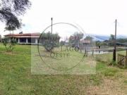 ÓTIMA CHÁCARA BEM ARBORIZADA E ACONCHEGANTE