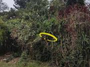 Ótima opção para Investidores, na instalação de Galpões...