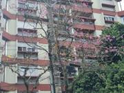 Ótimo apartamento 3 dormitórios, suíte, vaga...