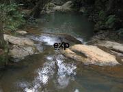 ÓTIMO INVESTIMENTO A VENDA FAZENDA | EVENTOS & TURISMO...