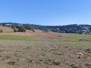 Ótimo Sitio para Plantação ou Criação de Gado em...