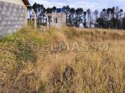 Ótimo terreno a 100 metros do asfalto!