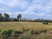 Ótimo terreno no Diácono João Luiz Pozzobon, em Santa Maria