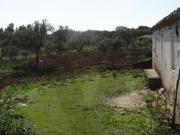 Ourique Beja 95480993