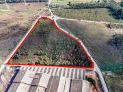 Outros Comercial à venda em Anadia