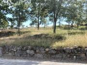 Outros Comercial à venda em Sabugal