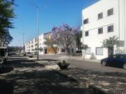 Outros Comercial T0, Serpa Salvador e Santa Maria, Serpa...