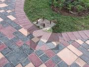 Outstanding Plot Near Central Park