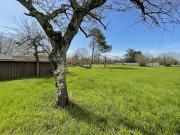 Ouzouer sur Loire 45570 Achat / Vente terrain