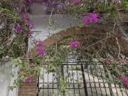 OV Casa en Betancourt 10, Zona Centro, Centro, 91000...