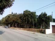 Ovar Ovar 93437667
