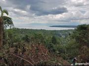 OVERLOOKING LOT IN SAMAL ISLAND FOR SALE