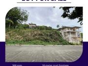 Overview Lot in Las Terrazas, Ma a, Davao