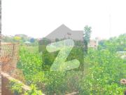 Owner Built House With An Amazing View Rented At 53000/...