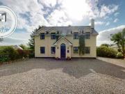 Oyster Catcher Oyster Catcher Stradbally East Kilcolgan...