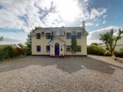 Oyster Catcher Stradbally East Kilcolgan Co Galway