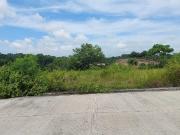 P5M 1000SQM COMMERCIAL LOT UPPER MALAGAMOT PANACAN