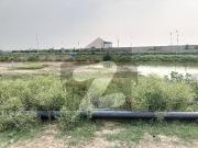 P 79 Available Direct Deal With Owner Prime Location...