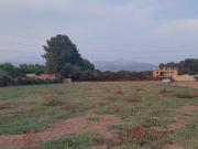 PACHACAMAC Vendo terreno 15 000 m2 cercado para casa de...