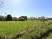 PAINBLANC Bourgogne 21360 LS82172509