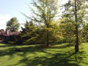 PAINE OPORTUNIDAD VENTA DOS CASAS EN GRAN PARCELA CON PARQUE