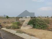 Pair 500+ Yards Residential Plot 90*100 Dimensions For...