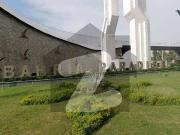 Pair Plots Available For Sale