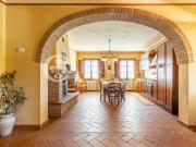 Palaia, Pisa meraviglioso agriturismo circondato da due...