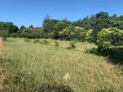 Palau del Vidre 66690 Achat / Vente terrain