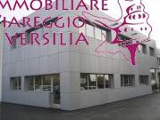 Palazzina commerciale in vendita a Viareggio