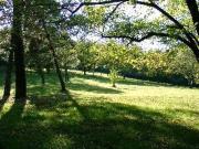 Palazzo in vendita a Pistoia
