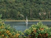 Palazzo / Stabile in vendita a Arcugnano VI