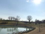 Palazzo / Stabile in vendita a Bologna BO