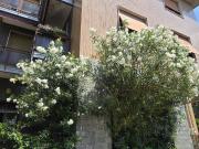 Palazzo / Stabile in vendita a Milano MI